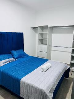 3BD APT in Guadalajara - Guadalajara - 6