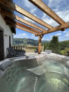 Aux Sources - 14 personnes - sauna & jacuzzi - La Bresse - 1