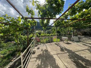Bedena House - - 2