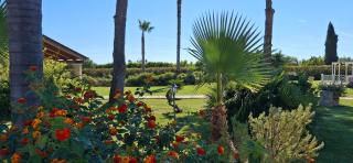 Masseria San Nicola B&B - Torre Santa Susanna - 9