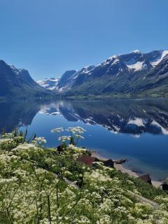 Flo Bellevue - Stryn - 7