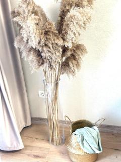 Mok Residence 2 - Timişoara - 2