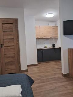 APARTAMENT CENTRUM Sobieskiego - 1