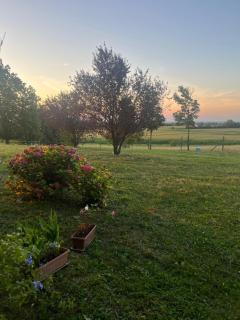 Agriturismo Villa San Lorenzo - Castell'Arquato - 5