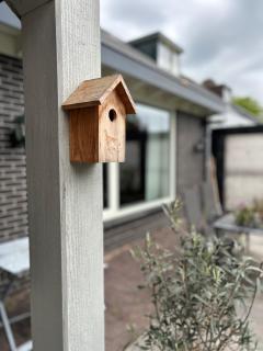 De Korenbloem - Barneveld - 9