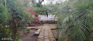 Hacienda Quele'ya - - 6