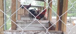 Hacienda Quele'ya - - 5