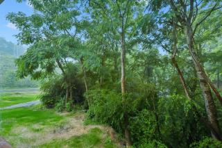 Green Gables Getaway-Across from Dollywood 2BR2BA Cabin Hot Tub Fireworks Views - Pigeon Forge - 5