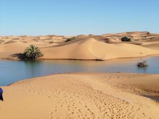 Merzouga Sandboarding Camp - 1
