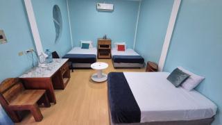 Cozy Hosting Galapagos - Puerto Ayora - 7