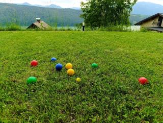 Modern house in the woods with a view of Millstättersee - Millstatt - 8
