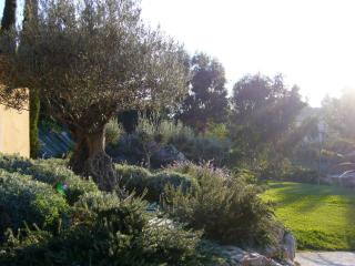 Le Paradou - Carqueiranne - 3