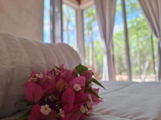 Ecolodge Xocen Birding - - 2