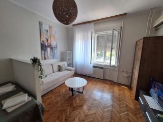 Gorki NS - Novi Sad - 9