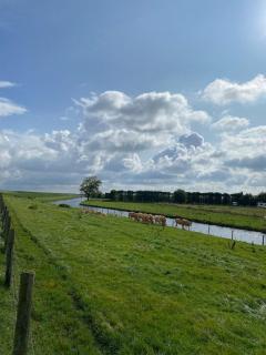 Coastal accommodation Puur-Polder - Wemeldinge - 4
