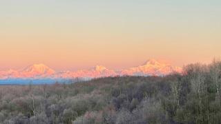 Talkeetna Denali View Lodge and Cabins - Talkeetna - 8
