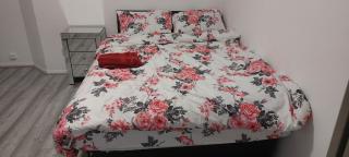 Modern Apartment in Southeast London - Plumstead - 1