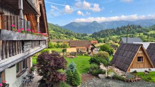 Apartments Čebelica - 1