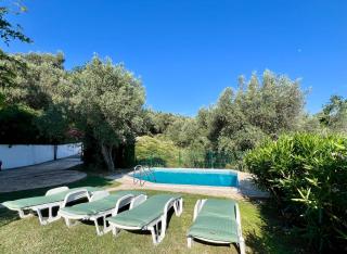 Green Villa in Olives - Bar - 7