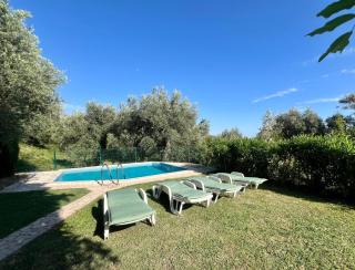 Green Villa in Olives - Bar - 4