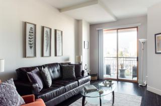 Large 2 Bed -2 Bath On Wilshire Corridor - S - Los Angeles - 8