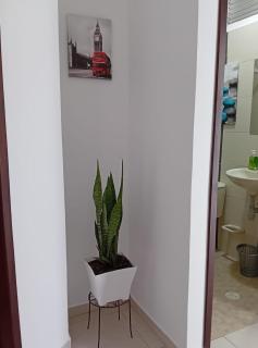 Blooming House Melgar - Melgar - 7