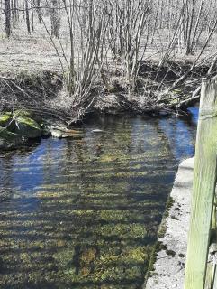 Aux Abords du Ruisseau - 3