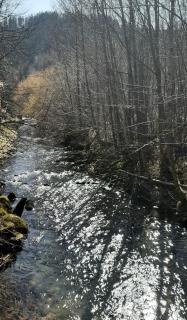 Aux Abords du Ruisseau - Saint-Maurice-sur-Moselle - 3