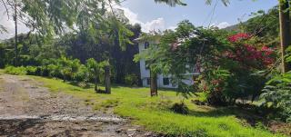 Comfortable modern studio villa - Castries - 3