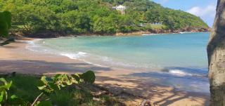 Comfortable modern studio villa - Castries - 4