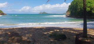 Comfortable modern studio villa - Castries - 5