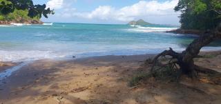 Comfortable modern studio villa - Castries - 6