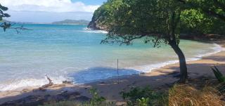 Comfortable modern studio villa - Castries - 7