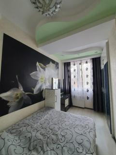 Davids apartments12 - Tiflis - 5