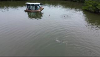 The Burrow-a floating cabin - - 3