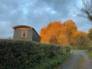 Woody's Retreat - Bolton by Bowland - 5