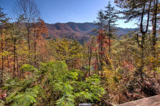 Walden's View - Sevierville - 8