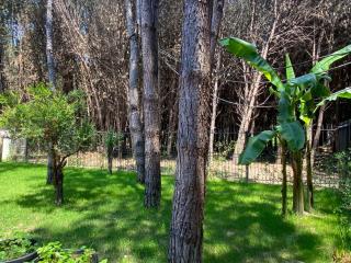 Forest Cottage - middle of forest & near the beach - Golem - 6