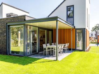 Modern and child-friendly Villa in Limburg - Roggel - 3