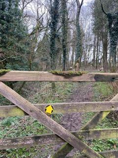 Woody's Retreat - Bolton by Bowland - 9