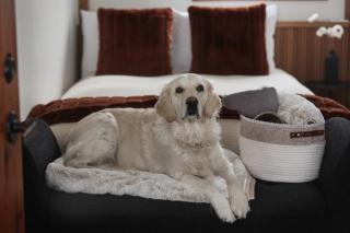 Motel Boutique Hygge - Baie-Saint-Paul - 9