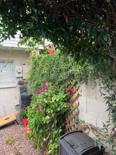 Luxury 4BR Walk to Fashion Sq - Scottsdale - 5