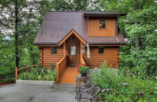 Teddy Bear Haven - Pigeon Forge - 9