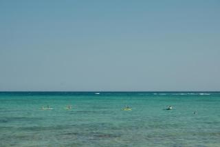 Kaoba Oceanfront Residences - Tulum - 4