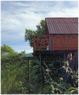 Hostal Sierra Minca - Minca - 5