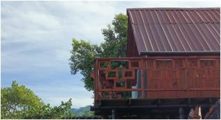 Hostal Sierra Minca - Minca - 7