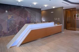 Springhill Suites By Marriott Newark Downtown - Newark - 6