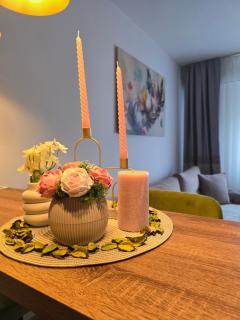 Stan na dan-Apartman MK - Donje Mladice - 8