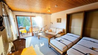 Apartment Todtmoos Traumblick mit Balkon - Todtmoos - 1