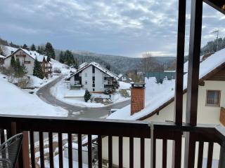 Ferienwohnung Victoria mit schöner Aussicht - Mein Schwarzwaldhäusle - Todtmoos - 3